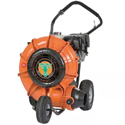 Push Blower Gasoline